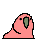 parrot-fast