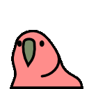 parrot-reverse